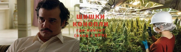 шишки Няндома