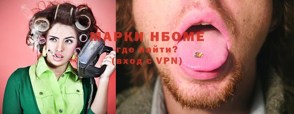 шишки Няндома