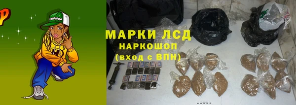 шишки Няндома