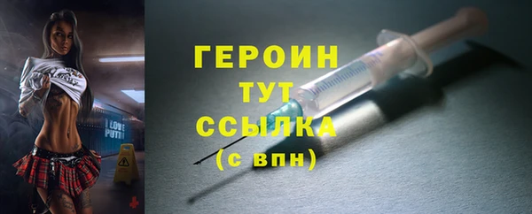 шишки Няндома