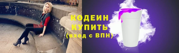 шишки Няндома