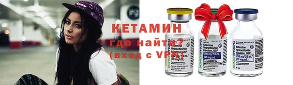шишки Няндома