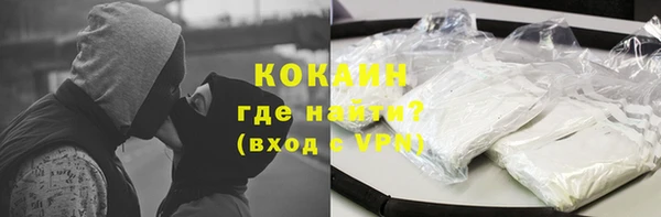 шишки Няндома