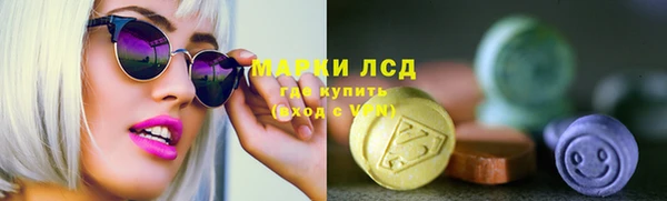 шишки Няндома