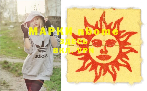 шишки Няндома
