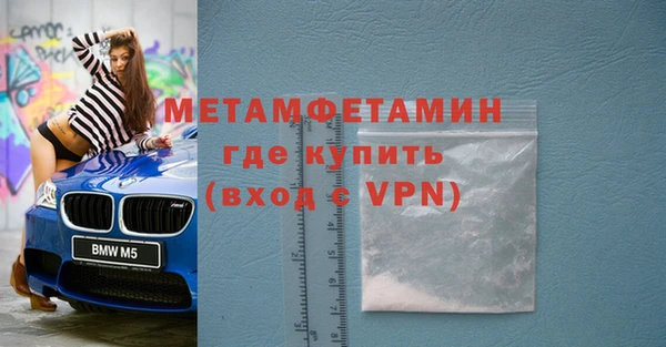 шишки Няндома