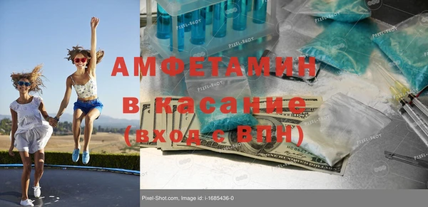шишки Няндома