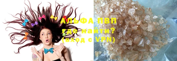 шишки Няндома