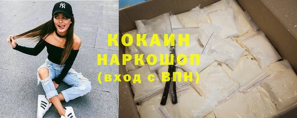 шишки Няндома
