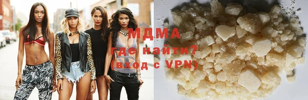 шишки Няндома