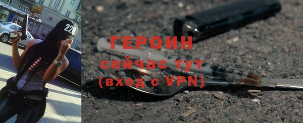 шишки Няндома