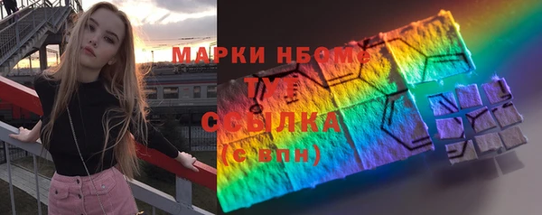 шишки Няндома