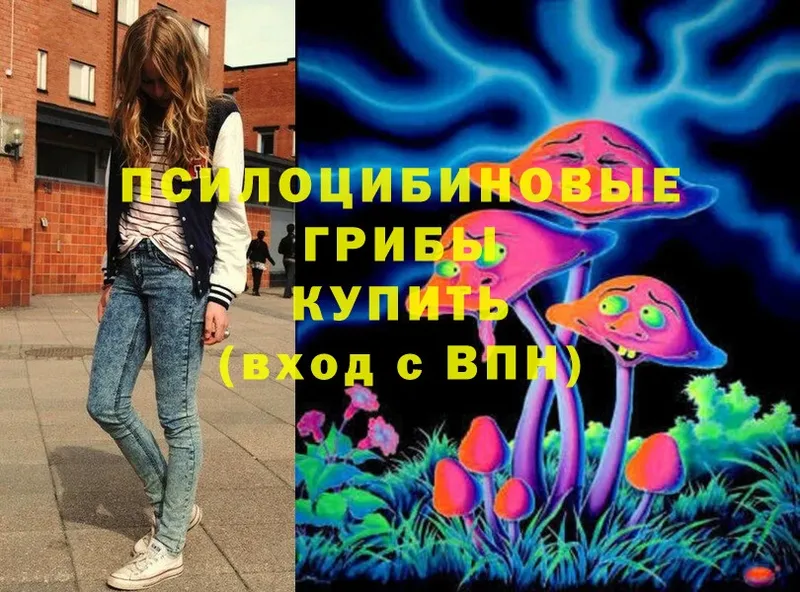 закладки  Юрьев-Польский  Галлюциногенные грибы MAGIC MUSHROOMS 