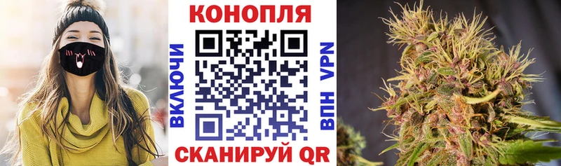 Бошки Шишки MAZAR  цена   Юрьев-Польский 